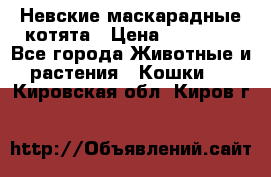 Невские маскарадные котята › Цена ­ 20 000 - Все города Животные и растения » Кошки   . Кировская обл.,Киров г.